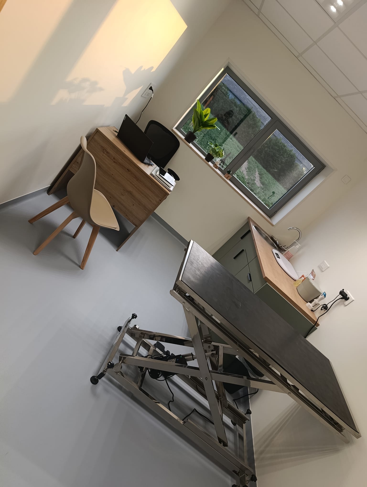 Médecine générale Fla'Vet